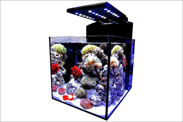 Готовый к использованию морской аквариум со светодиодным освещением "Blenny advanced"