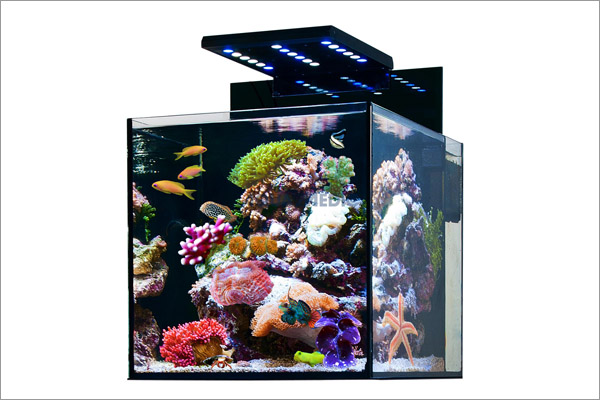 Готовая морская аквариумная система "Cubicus Qube"